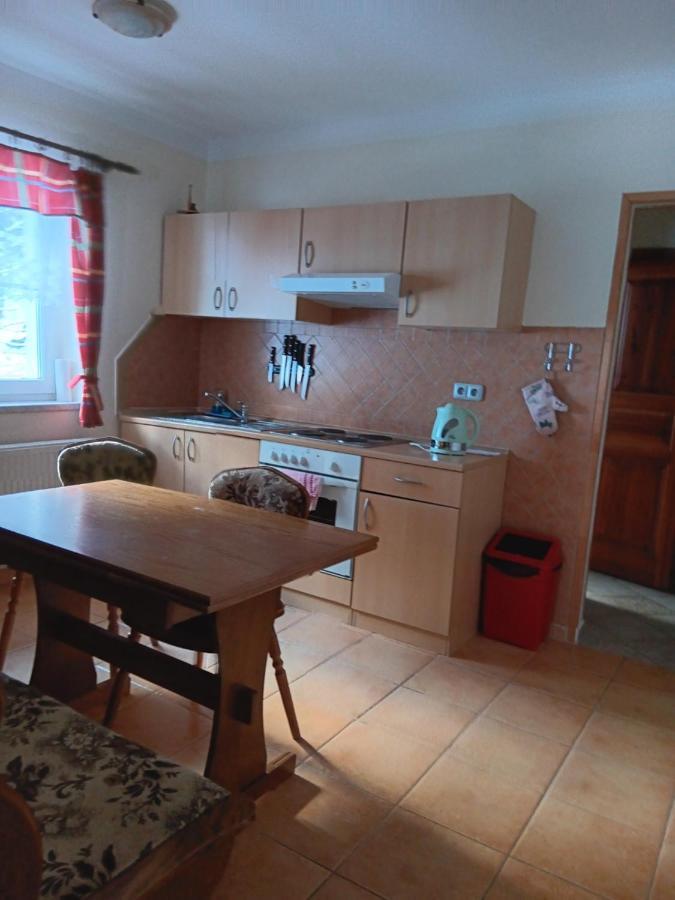 Apartment Lekarsky Dum